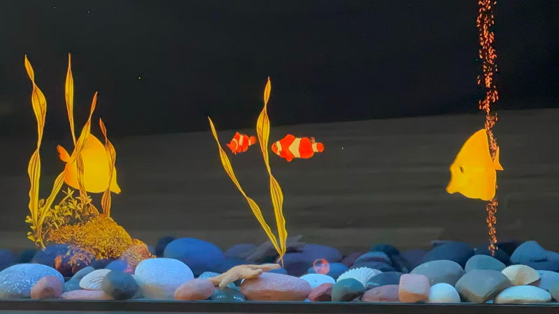 Warmcastle Aquarium Ambience Collection | ZEF50T, ZEF60T & ZEF72T