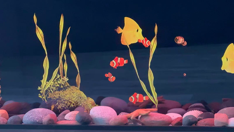 Warmcastle Aquarium Ambience Collection | ZEF50T, ZEF60T & ZEF72T